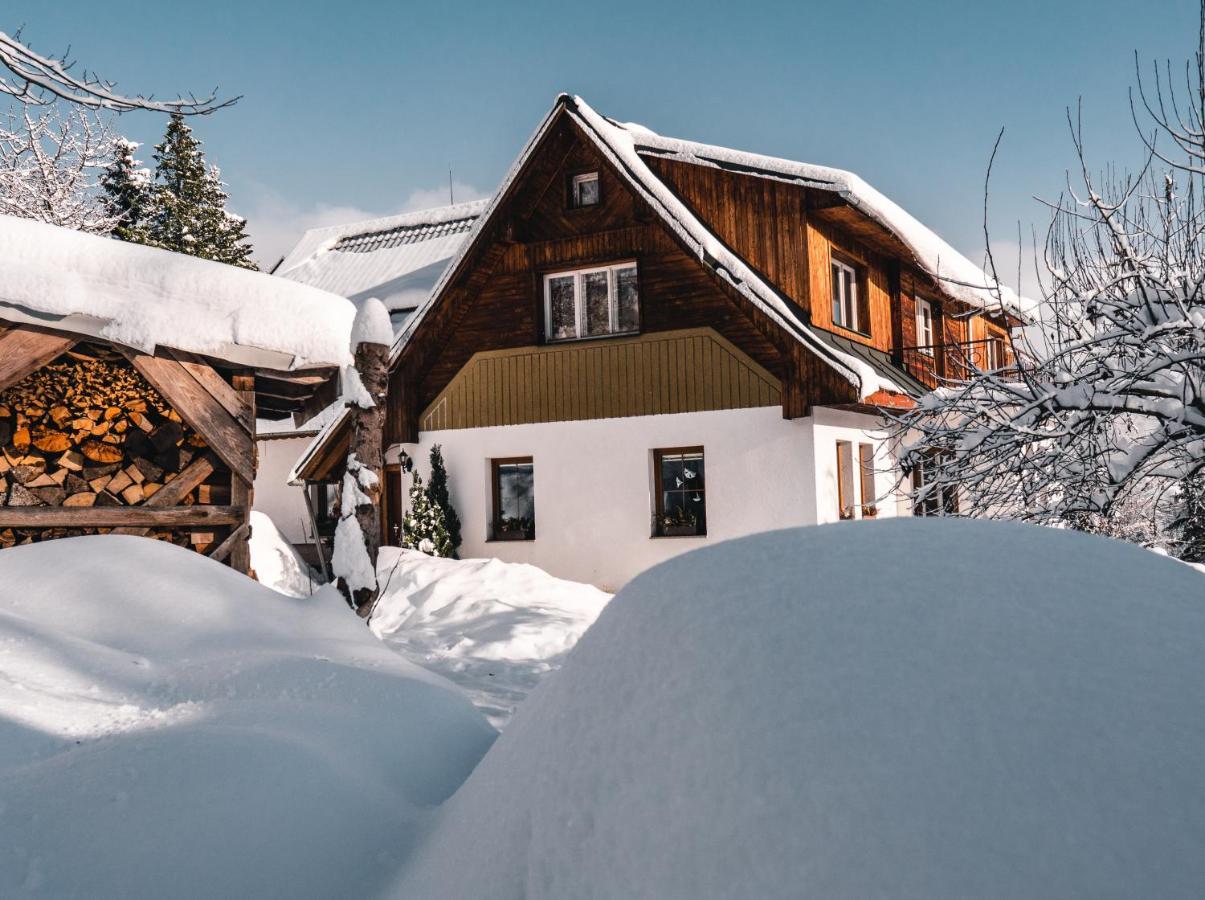 Apartmán Karel a Martina Rokytnice nad Jizerou Exterior foto